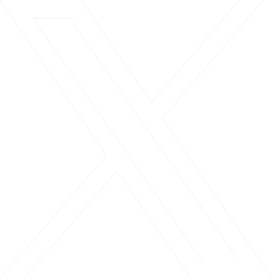 公式x